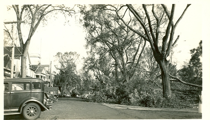 52.West Side of Green Looking North.jpg