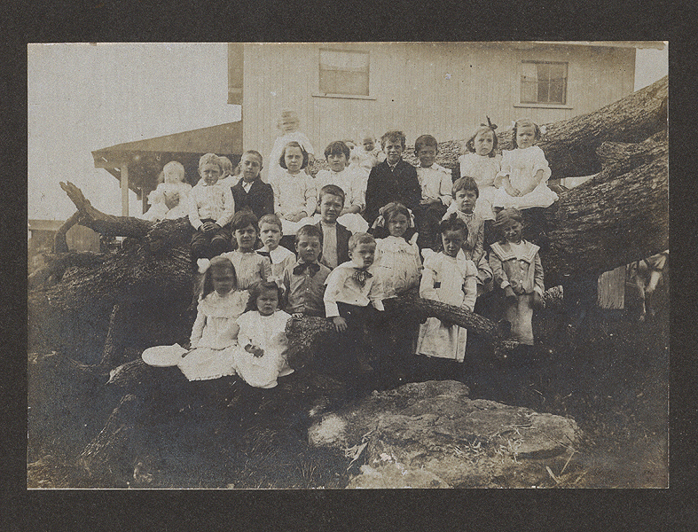 16A ii Photo children next to felled tree.jpg