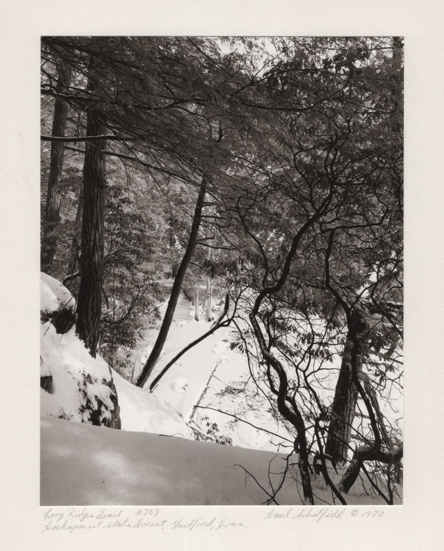 9 Long Ridge Trail Lost Lake Cockaponset State Forest Guilford CT 1970_2.jpg