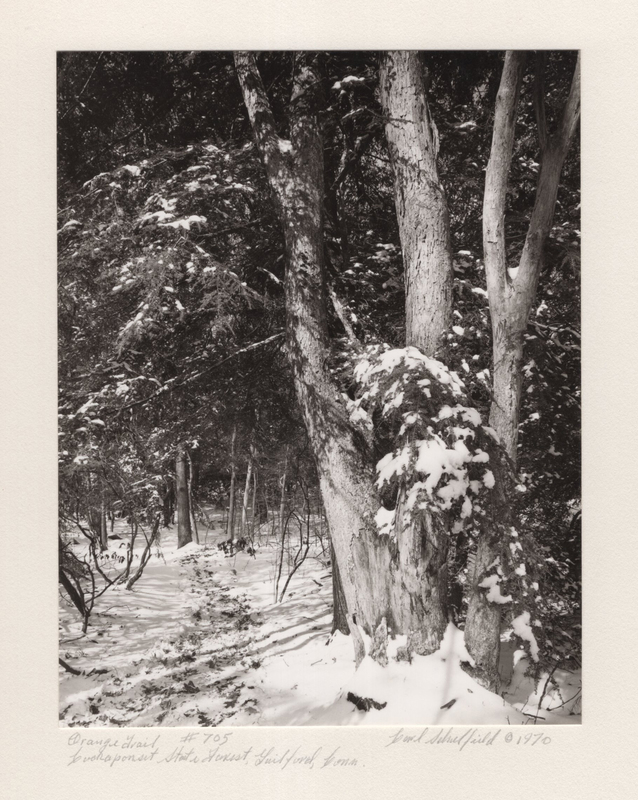 5 Orange Trail Lost Lake Cockaponset State Forest Guilford CT 1970.jpg