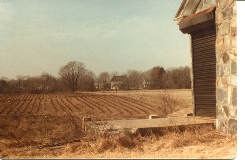 Boston Street Ellen Hall House view west from Alderbrook Cemetary March 1982.jpg