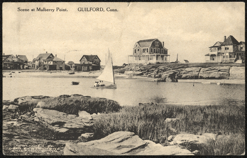 Scene at Mulberry Point.jpg