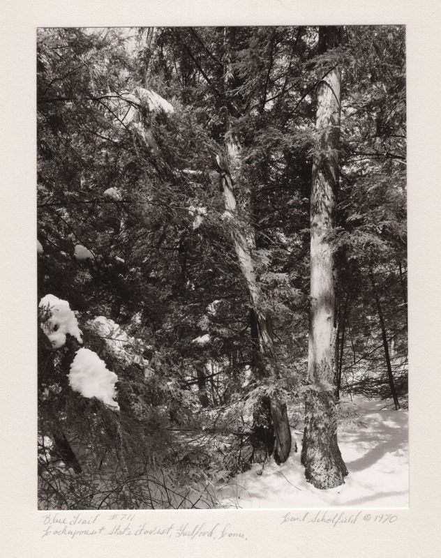11 Blue Trail Lost Lake Cockaponset State Forest Guilford CT 1970.jpg