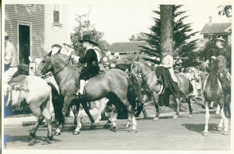 Terc Parade Horses.jpg