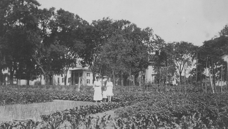 Guilford Library site 1918.jpg