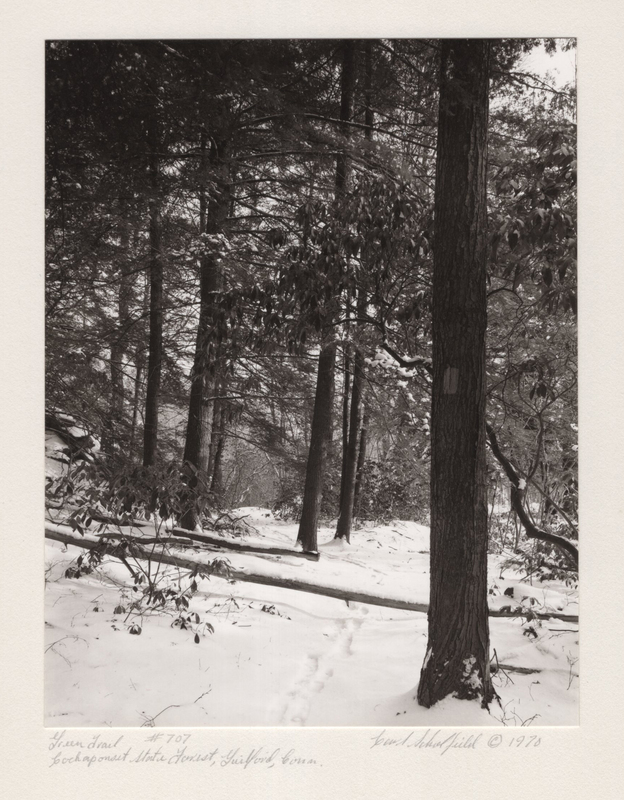 7 Green Trail Lost Lake Cockaponset State Forest Guilford CT 1970.jpg