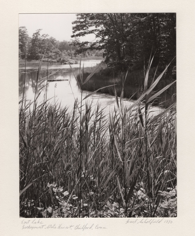 1 Lost Lake Cockaponset State Forest Guilford CT 1970.jpg