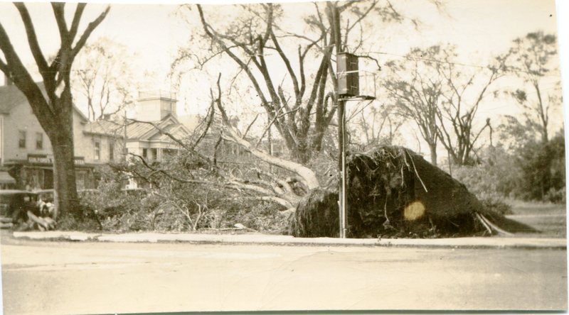 Green after 1938 Hurricane.jpg