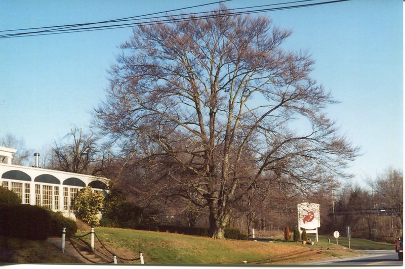 Sachem Country House, Goose Ln., Guilford, Apri l12, 2003, by Yale Medical Center.jpg