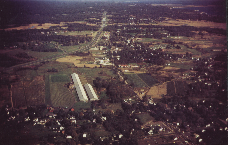 Pinchbeck Greenhouses looking East 1959.jpg