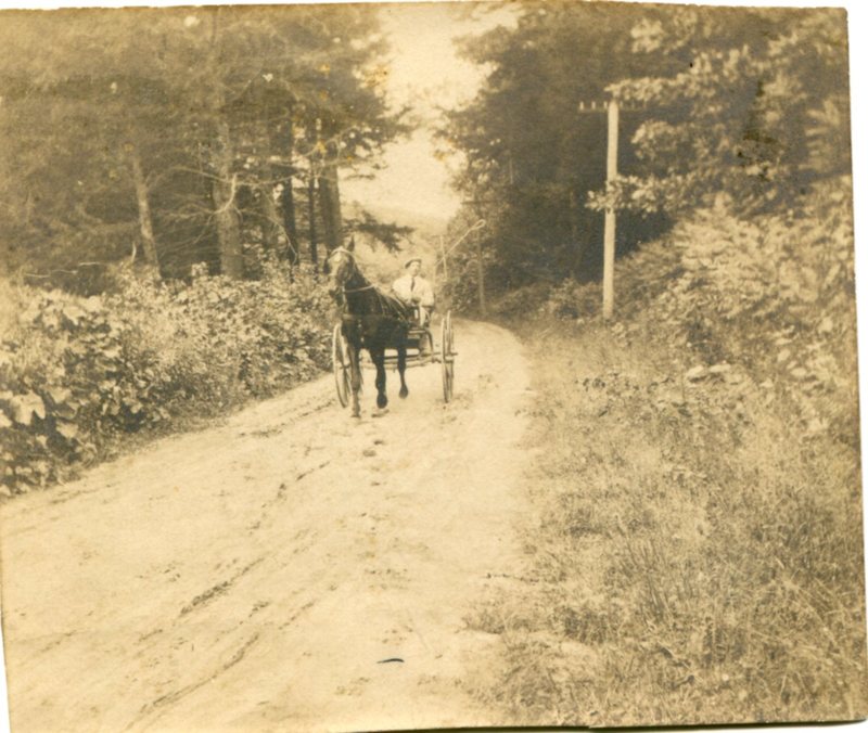 George Sperry and Horse Buggy.jpg