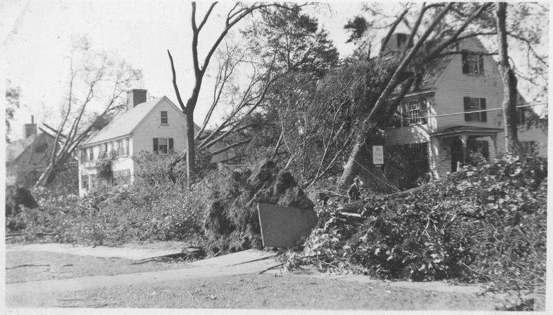 The Little Shop in Guilford after the Hurricane of 1938