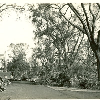 52.West Side of Green Looking North.jpg