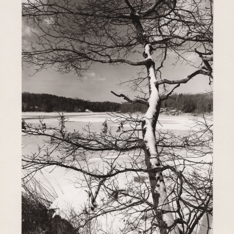 8 Winter on Lost Lake Lost Lake Cockaponset State Forest Guilford CT 1970.jpg
