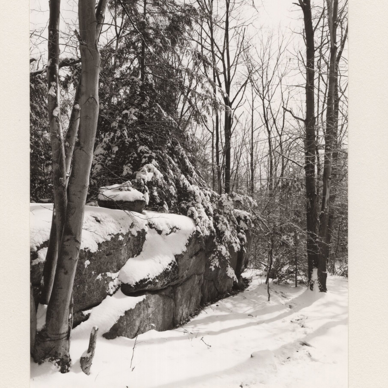 6 Long Ridge Trail Lost Lake Cockaponset State Forest Guilford CT 1970.jpg