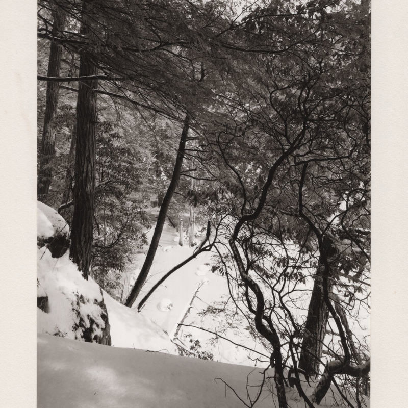 9 Long Ridge Trail Lost Lake Cockaponset State Forest Guilford CT 1970_2.jpg