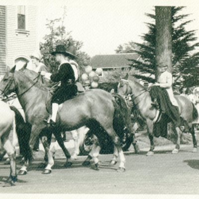 Terc Parade Horses.jpg