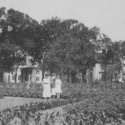 Guilford Library site 1918.jpg