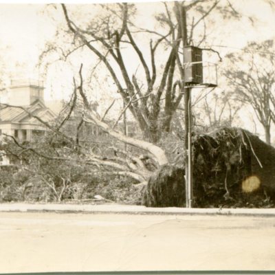 Green after 1938 Hurricane.jpg