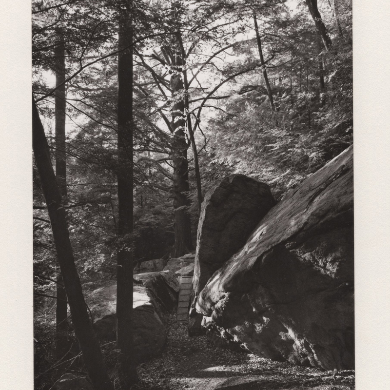 3 Great Hemlock Lost Lake Cockaponset State Forest Guilford CT 1969.jpg