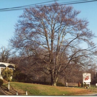 Sachem Country House, Goose Ln., Guilford, Apri l12, 2003, by Yale Medical Center.jpg