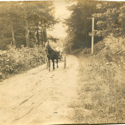 George Sperry and Horse Buggy.jpg