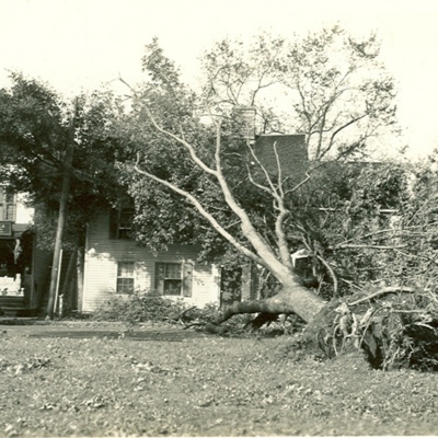 West side of Guilford Green after the Hurricane of 1938<br /><br />
